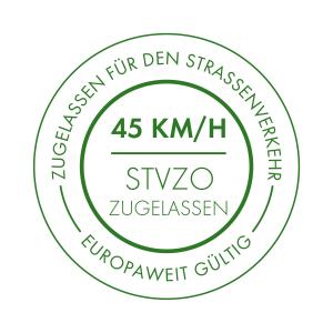 mit 45 km/h Zulassung