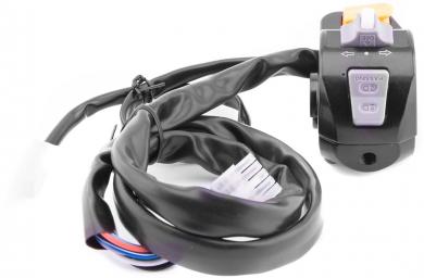 Schalter Hupe / Blinker 